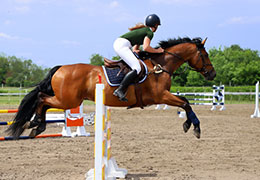 Catégorie Équitation