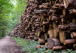 Catégorie Agriculture et foresterie